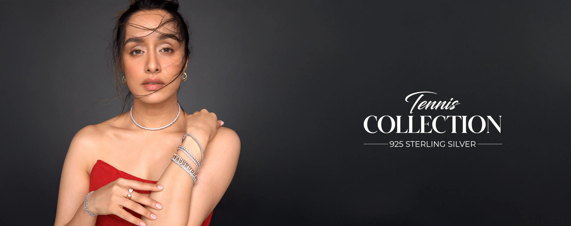 Silver Luxe Banner
