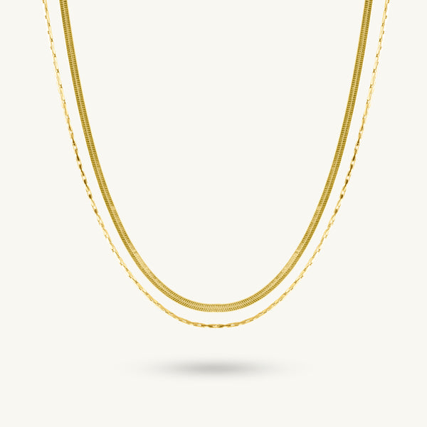 Sleek Dual Chain Layered Necklace