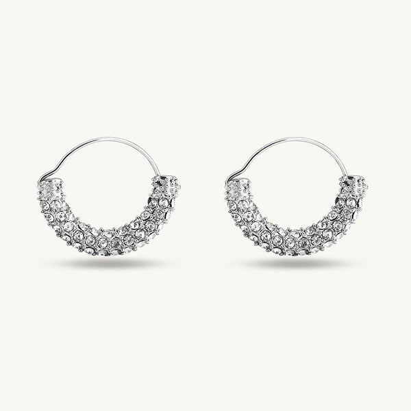 Stone Studded Silver Hoop Earrings