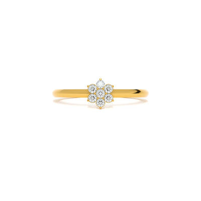 Blossom Spark 9KT Gold Lab Grown Diamond Ring