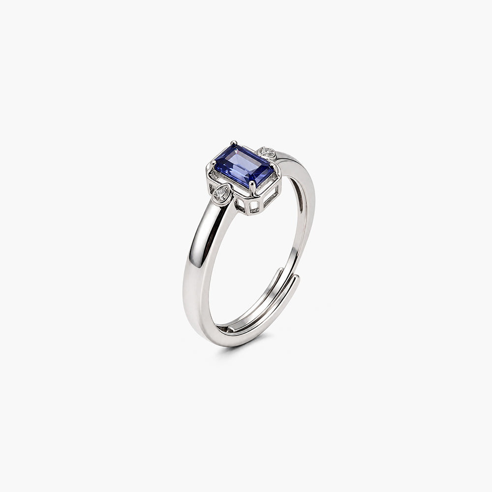 Regal Accent Platinum Plated 925 Sterling Silver Ring
