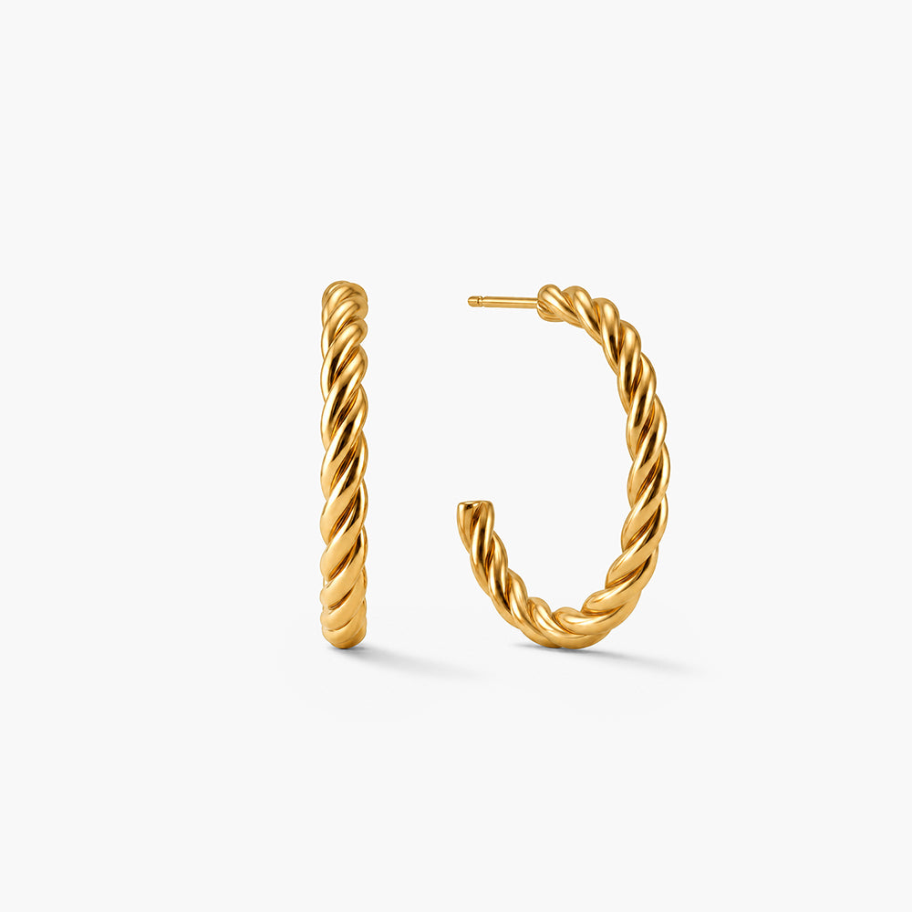 Spiral Arc Earrings